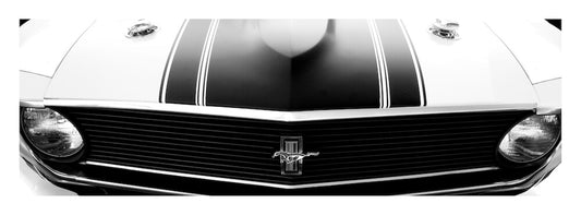 Ford Mustang 1970 Boss 302