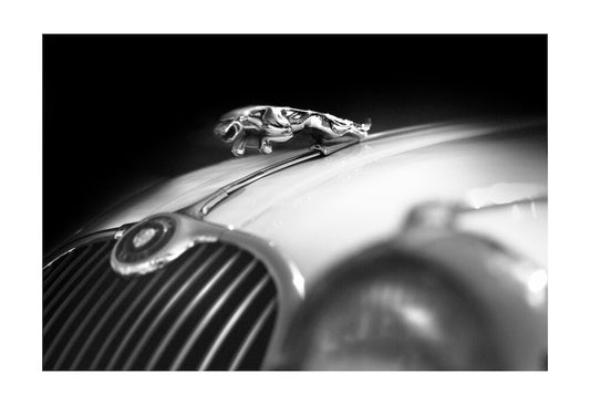 Jaguar XK150 “Leaping cat”